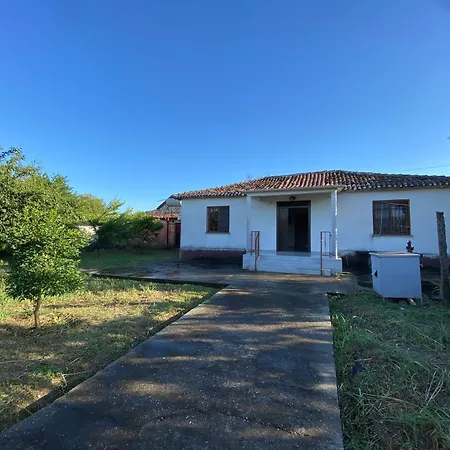 Village House Willa *