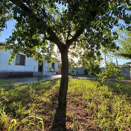 Village House * Szkodra