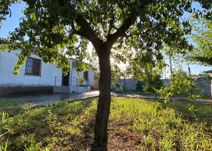 Village House * Szkodra