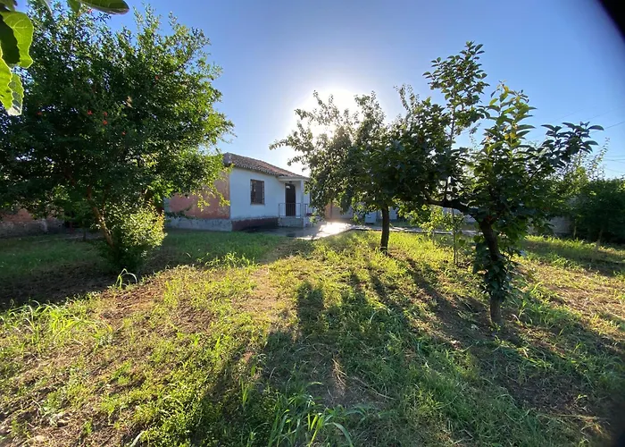 Village House Willa *