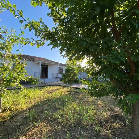 Village House * Shkodër