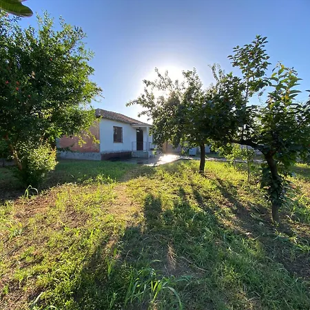 Village House Villa *